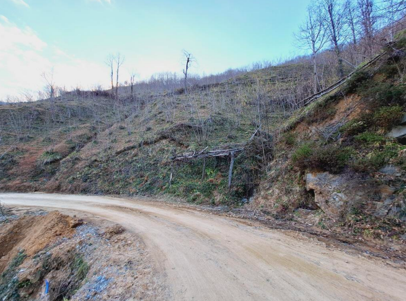 ARTVİN BORÇKA'DA 2.094 M2 SATILIK FINDIK BAHÇESİ